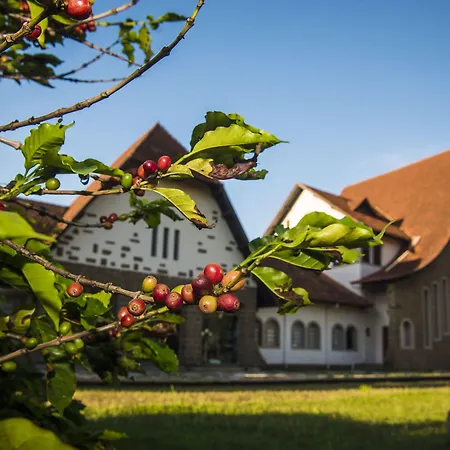 Crillon Palace Hotel-3